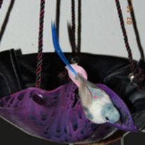 Nest2_medium