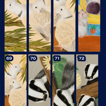 Bookmark | (individual)