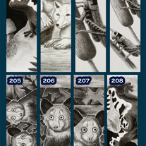Bookmark | (individual)