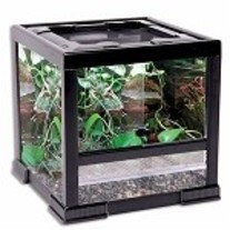 Reptology_20eco_20system_20i_20reptile_20cage_medium
