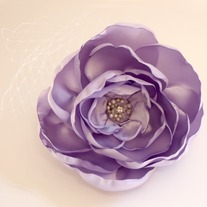 Lovely Lilac Rose