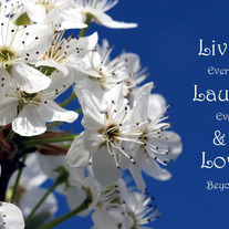 Live Laugh Love print