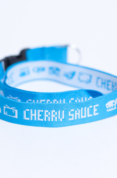 CS Lanyard