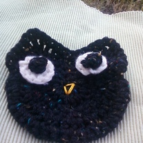 Crazy Owl Washcloth