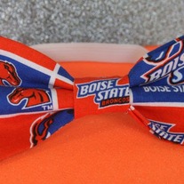 Bronc-Go Bowtie