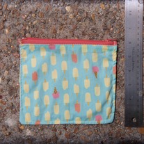 Popsicle Pouch
