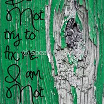 Printable Do Not try to fix me. I am Not broken.