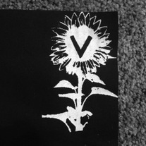 V_20sunflower_medium