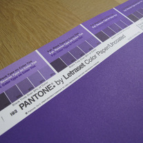 Vintage PANTONE® Poster - Pantone 2592U 2X 