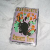 PAREGORIK "Synthetic Truth"
