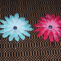 100_1029_medium