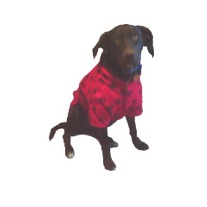 Large_dog_redpaw_coat_medium