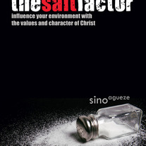 Saltfactor1_medium