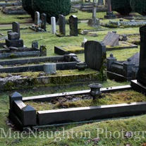 Cemetery_2-5946_medium