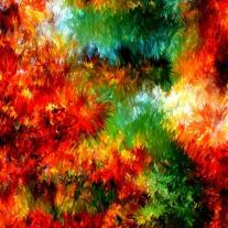 Virgin forest - digital art