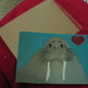 Walrus_photos_003_small
