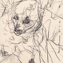Drawing 0041