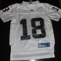 Randy Moss/Oakland Raiders Jersey-NFL Reebok Size 8