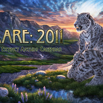 Cover_front_web_medium