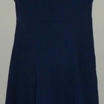 Navy Blue Dress-Lands End Size 14  CLSR1