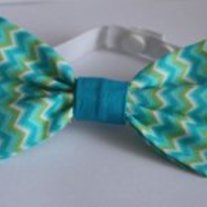 "Chevron Garden" Bow Tie