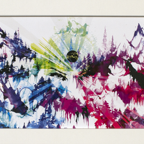 Visceral/Visible | Hannah Stouffer | Print