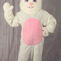 Bunny Costume with Mascot Head