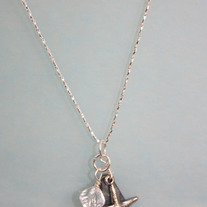 Abalone_starfish_sm_medium