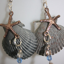 Grey_cali_shell_w_bronzestar_sm_medium