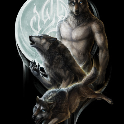 Transform the t-shirt