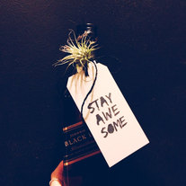 stay AWESOME stamp - perfect for birthday and housewarming gifts