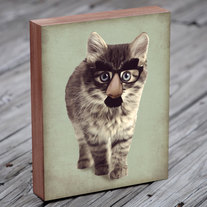  Cat in Disguise - Wood Block Art Print