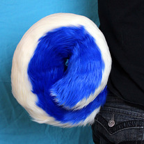 Bluetail2_medium