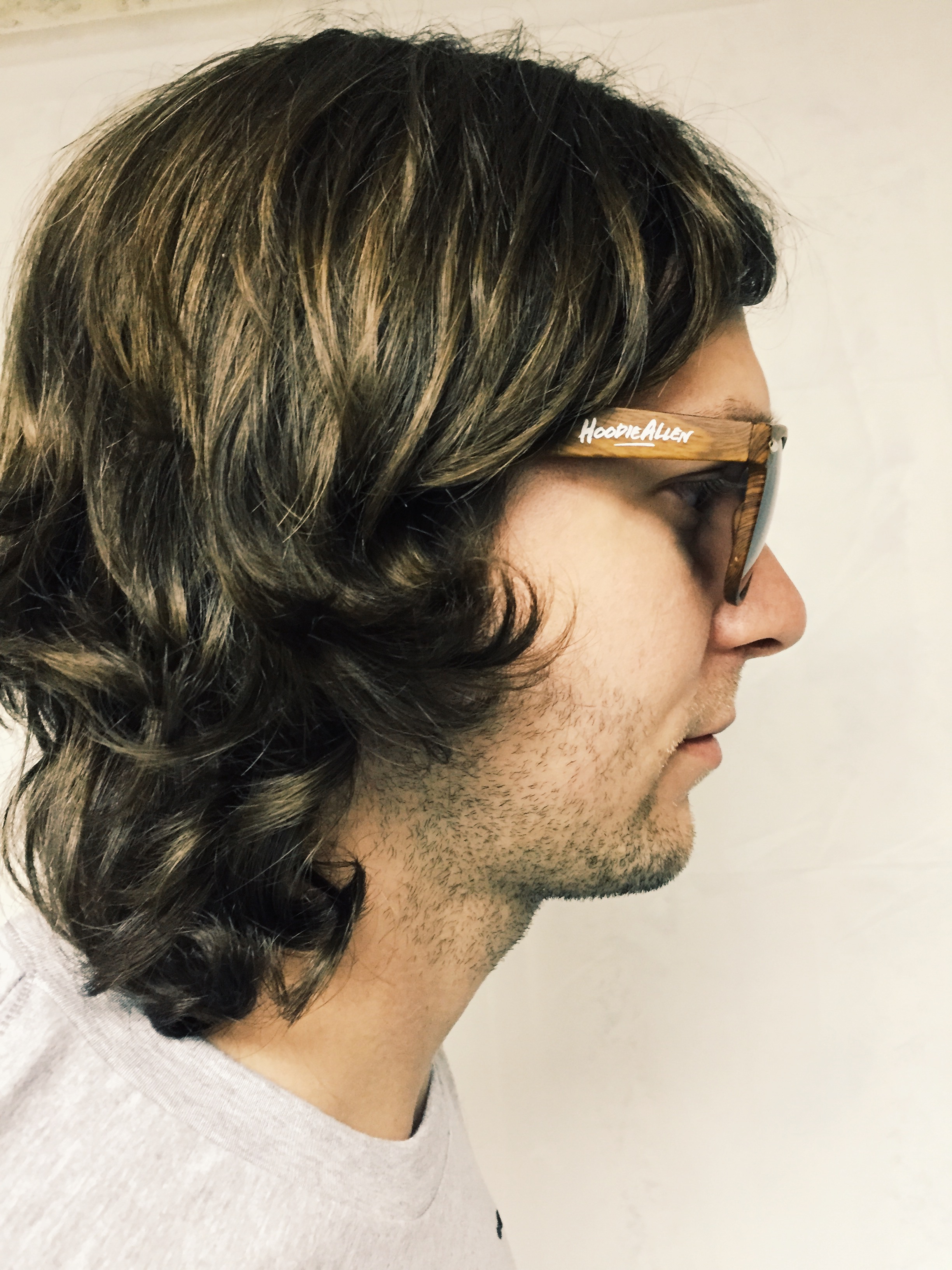 Hoodie Sunglasses · The Hoodie Allen Swag Shop · Online Store Powered