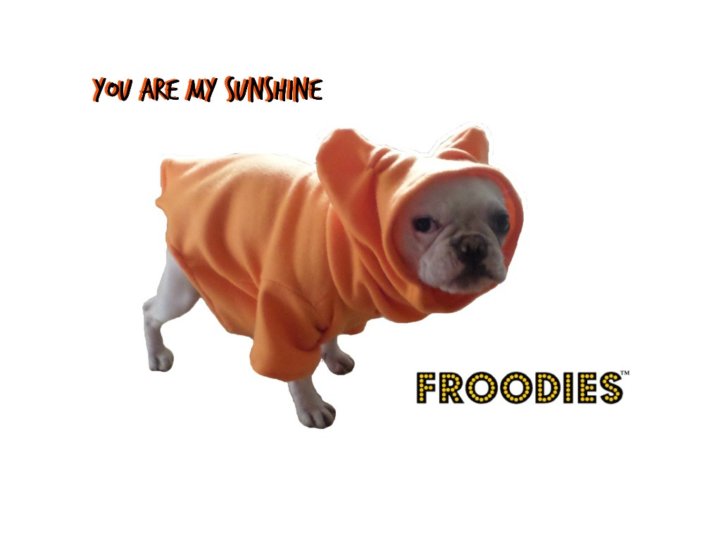 orange pug bulldog boston terrier pug froodies hoodies orange fleece jacket orange pug bulldog boston terrier pug froodies hoodies orange fleece jacket