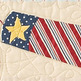 Faded-glory-firecracker_small