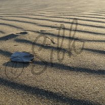 Dune_medium