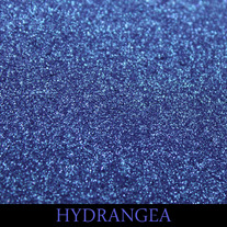 HYDRANGEA