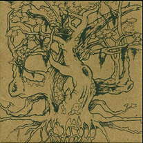 grass ep