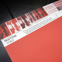Vintage PANTONE® Poster - 178U