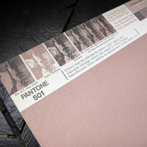 Vintage PANTONE® Poster - 501U