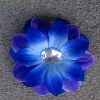 Imag0105_medium