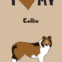 Collie, 5x7 print