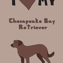 Chesapeake Bay Retriever, 5x7 print
