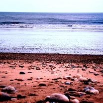Red_20sand6x4_medium