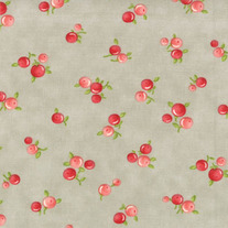1/2 Yard-Ruby Quirky Grey 55036/13