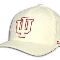 "Psi" Kappa Alpha Psi Flex Fitted Hat (Kream)  