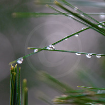 Droplets-2_medium