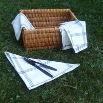Four navy blue and white cloth picnic napkins