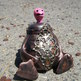 Dscf3108_small